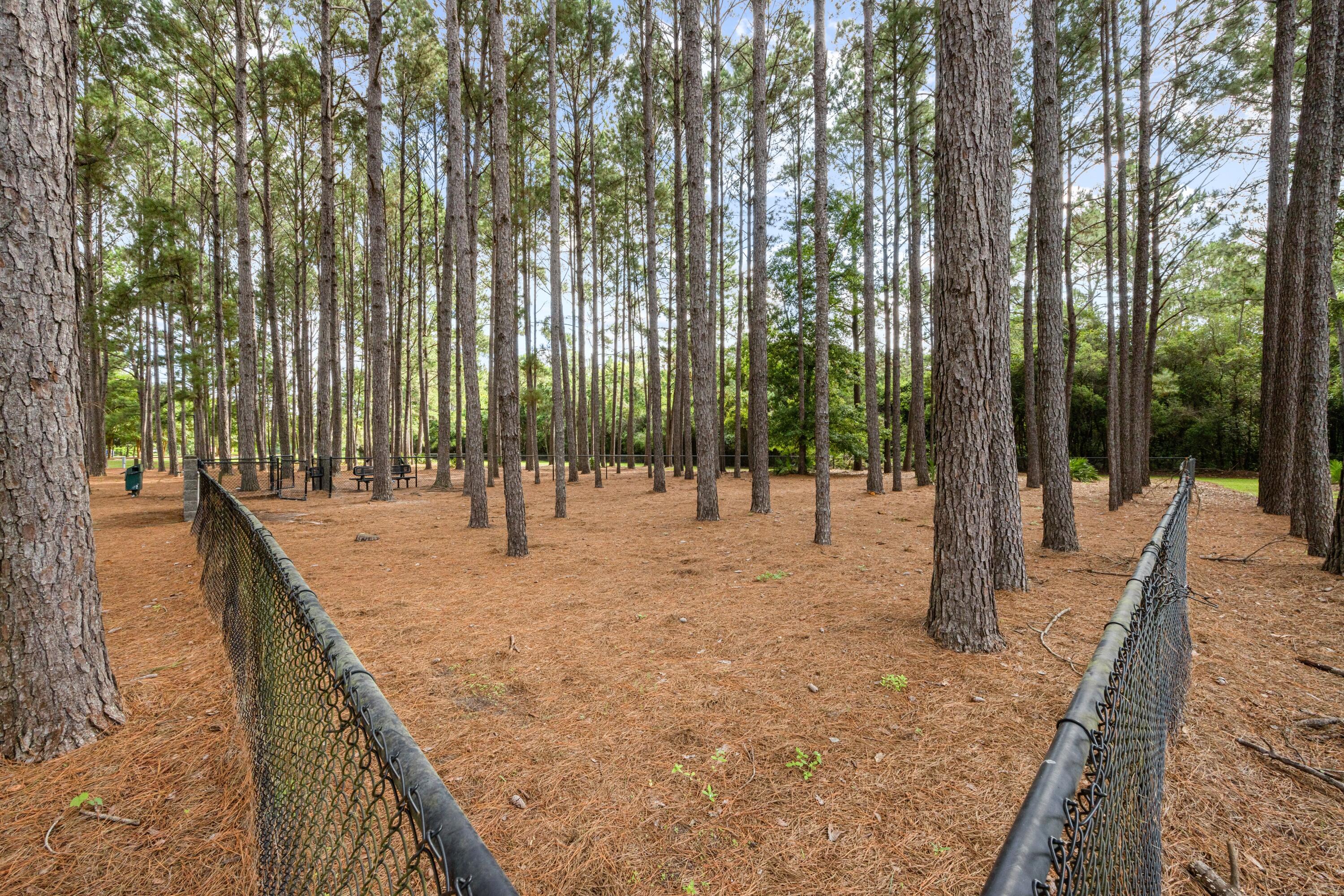 110 Cornelia Street Freeport, FL 32439 - Photo 51 of 60 z8602A9587