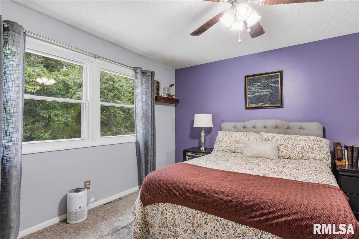 11 Rock Road Chatham, IL 62629 - Photo 22 of 40