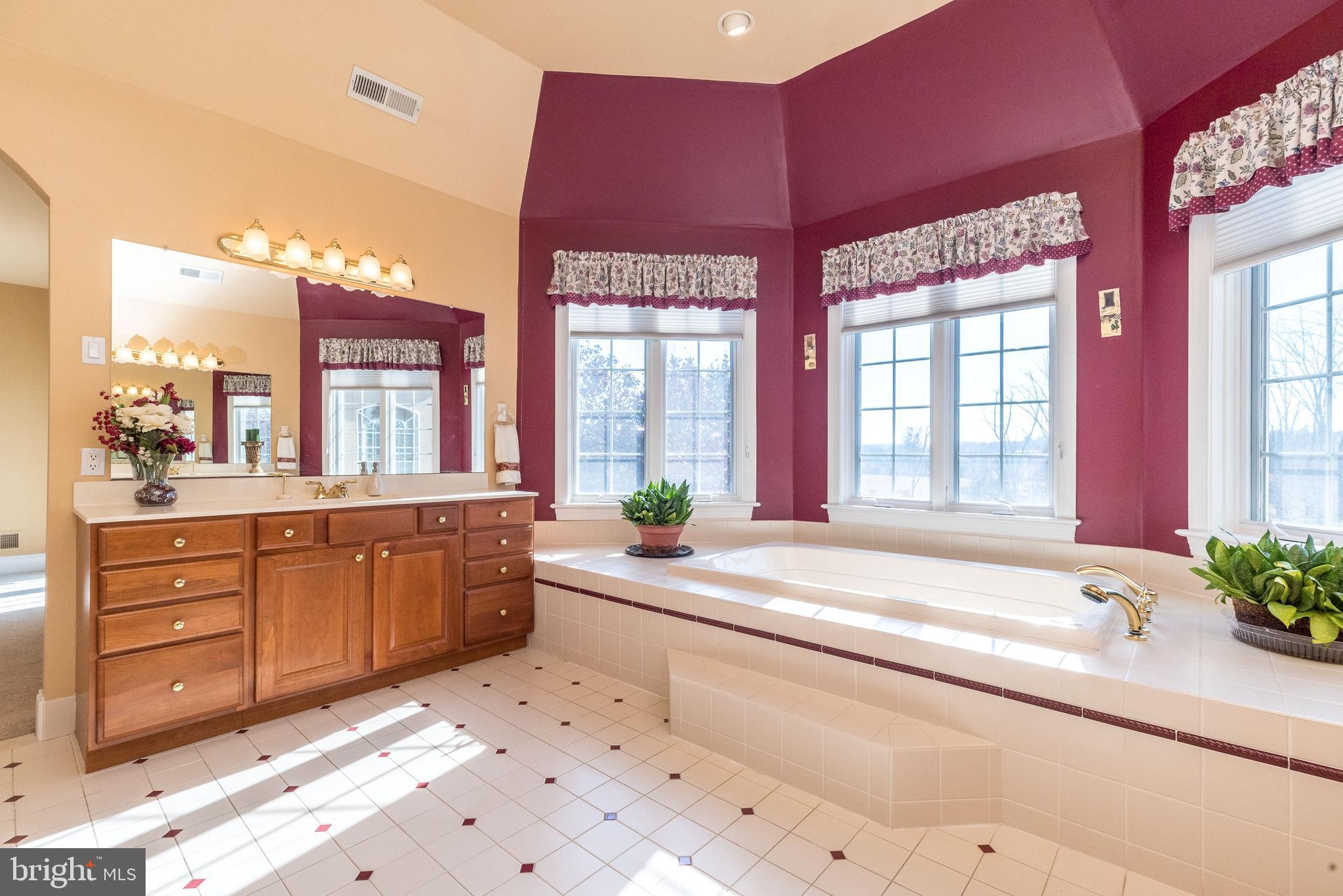 246 Rue St Andre Chalfont, PA 18914 - Photo 47 of 81 a spacious bathroom with a granite countertop tub next to a window