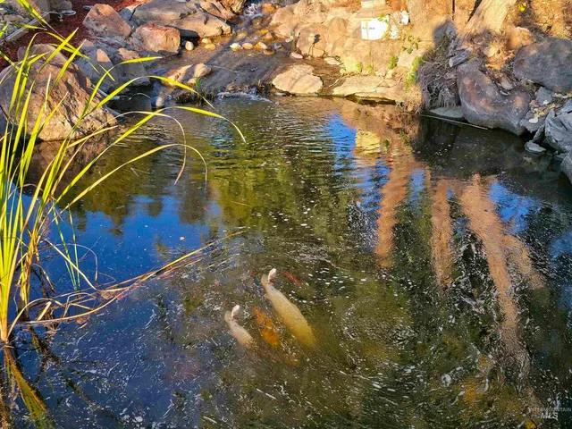 $1,500,000 | 4010 Elmore Road, Parma, ID 83660