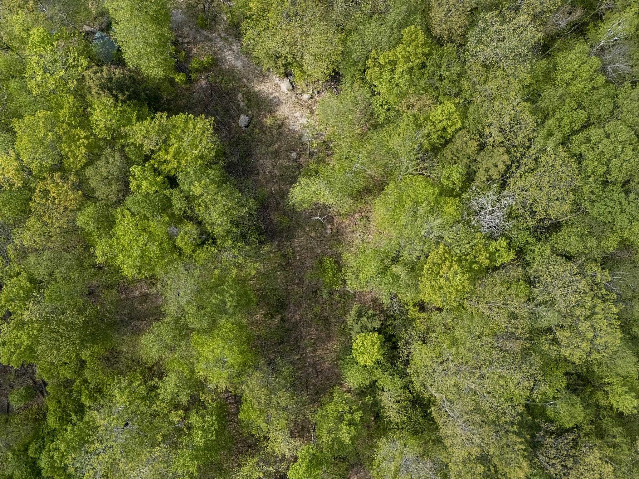 0 Loyd Lane Harrisville, NH 03450 - Photo 4 of 17