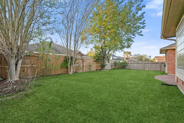 a view of a backyard with large tree
