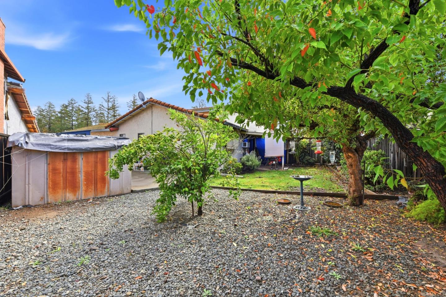 1349 Coniston Court San Jose, CA 95118 - Photo 39 of 55 a view of a house with a yard and a large tree