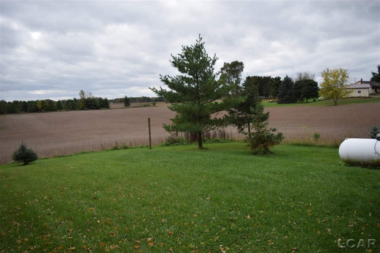 10625 Burton Road Adrian, MI 49221 - Photo 8 of 21 31387317-7.JPG