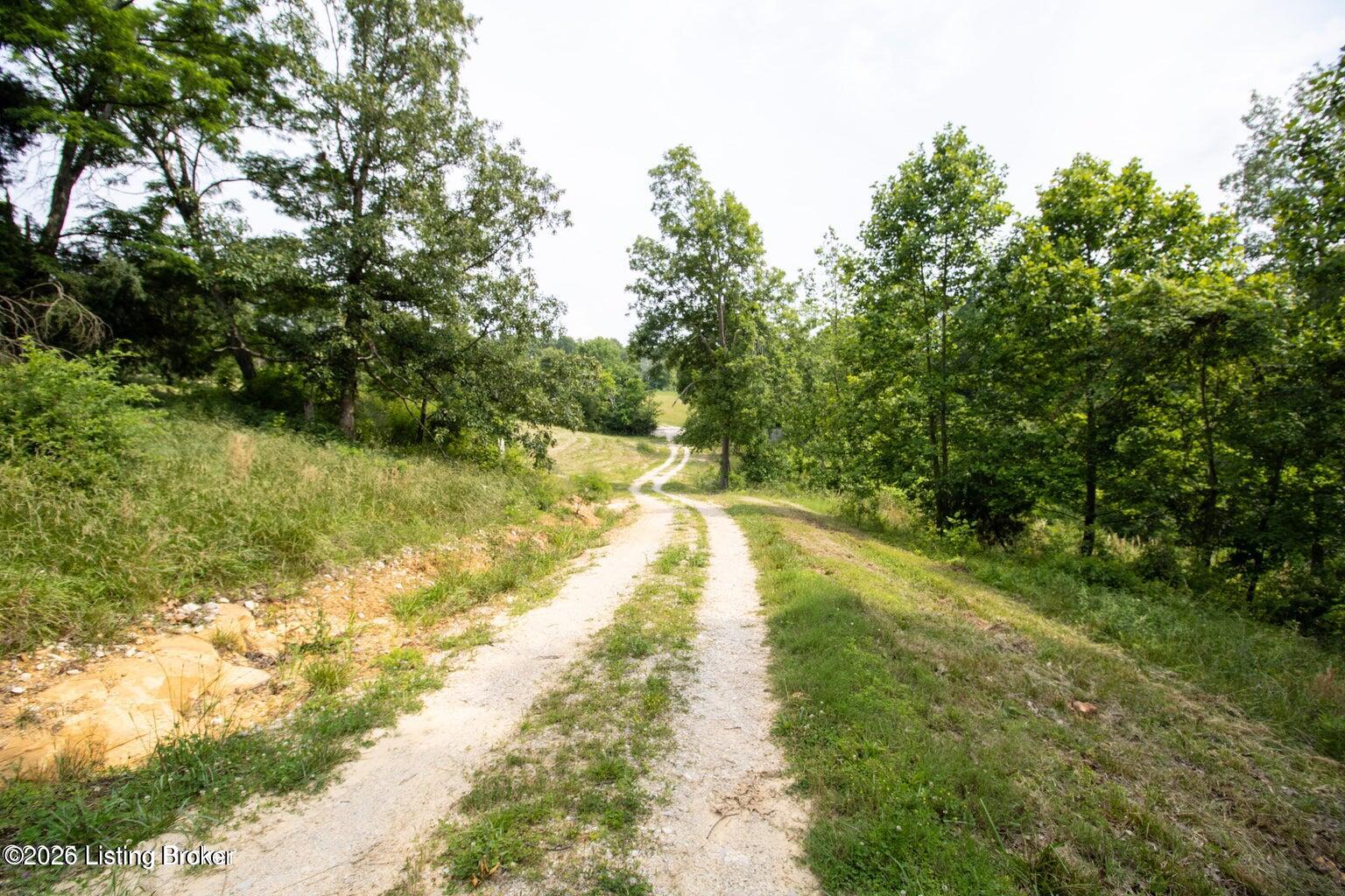0 Summit-Eastview Road Eastview, KY 42732 - Photo 6 of 17 8