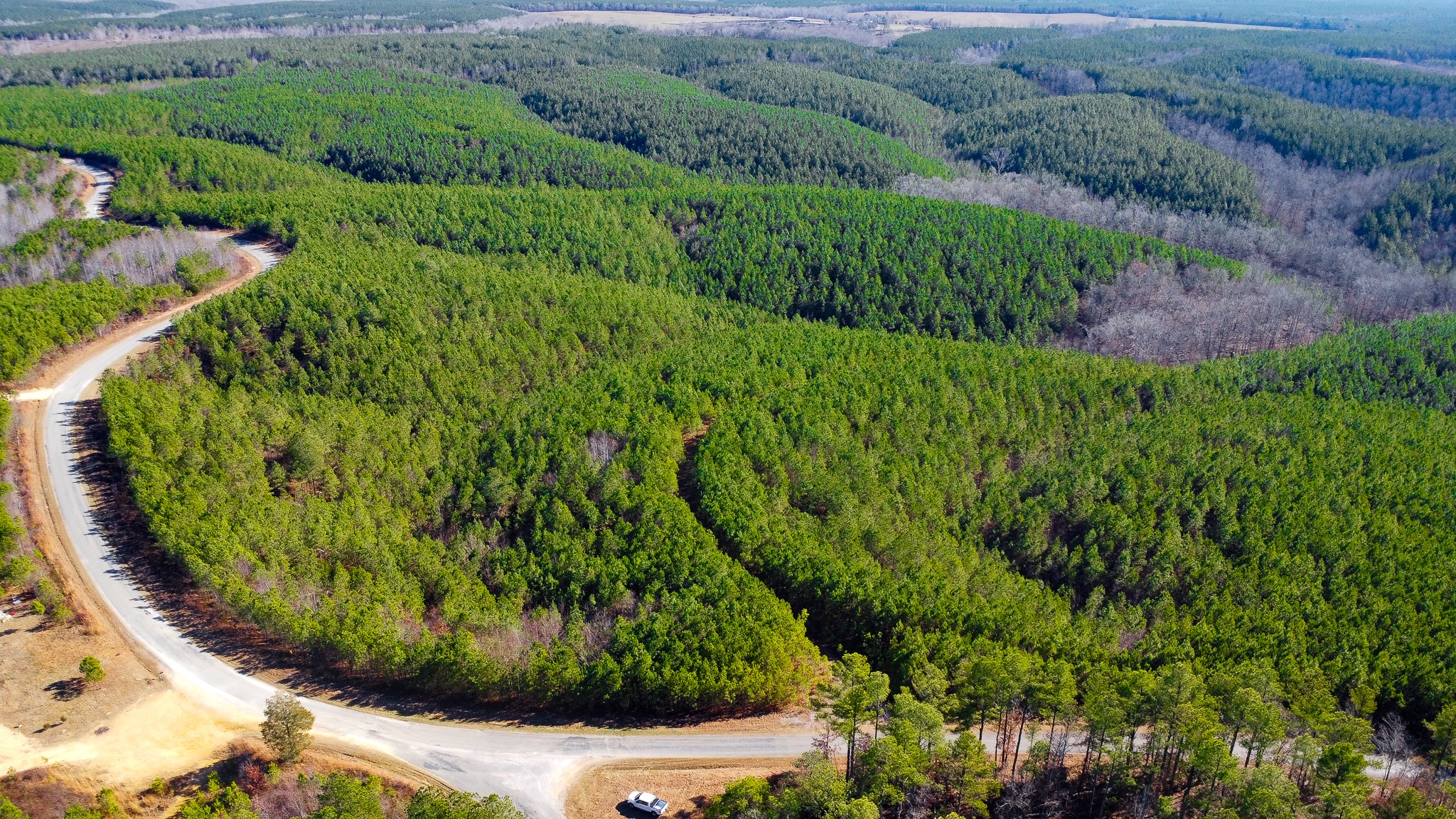 0 Rockhouse Road Linden, TN 37096 - Photo 2 of 10 a view of a garden