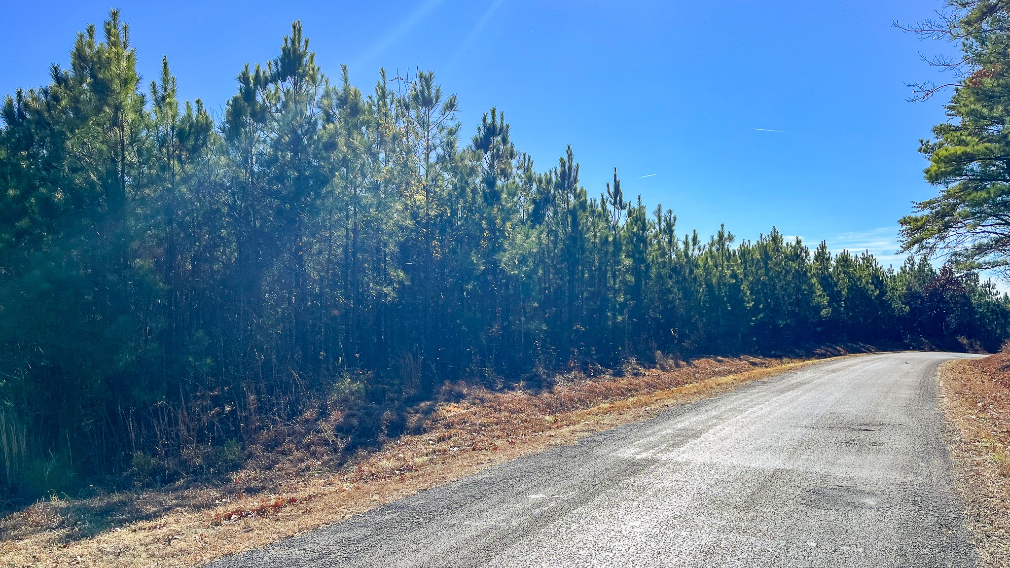 0 Rockhouse Road Linden, TN 37096 - Photo 6 of 10 a view of a backyard of a house