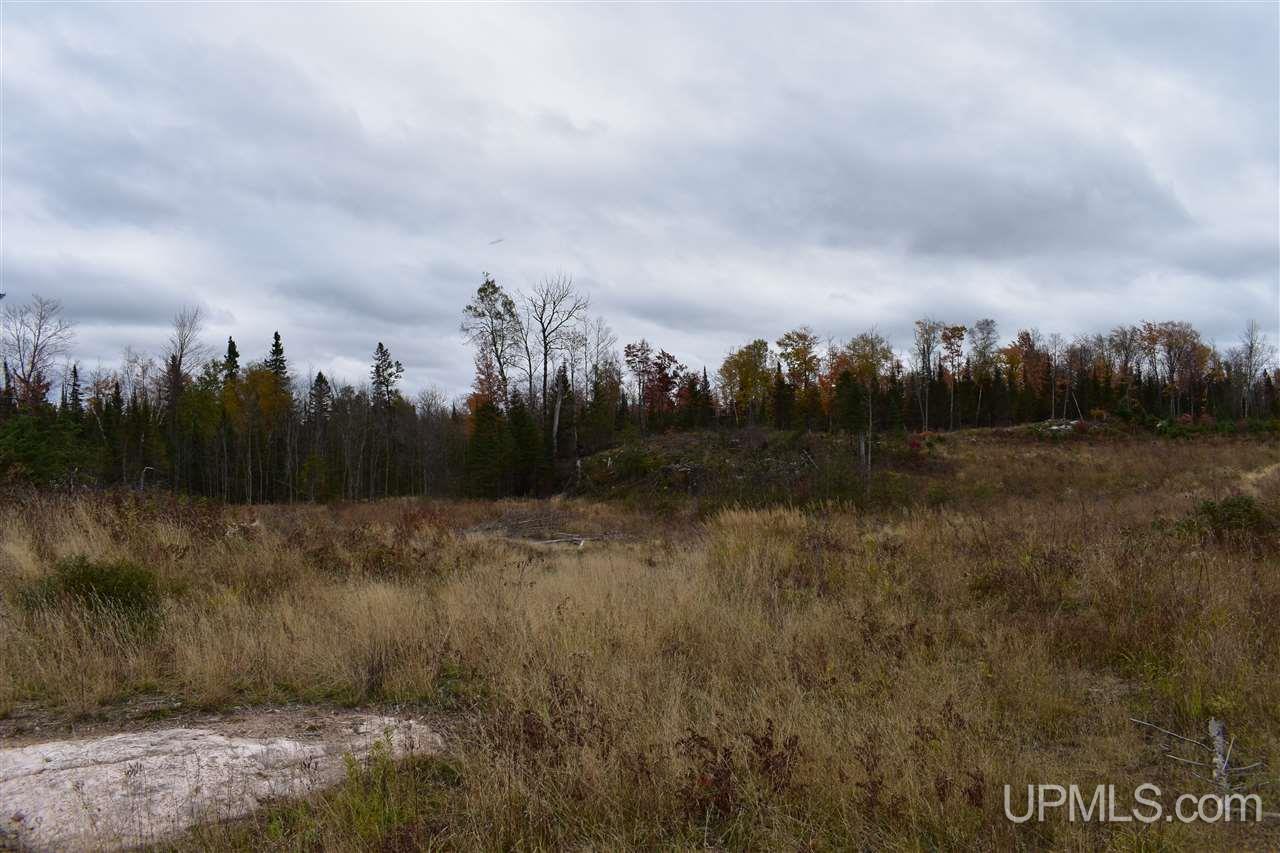 40-acres 40-acres Off Co Road Gwinn, MI 49841 - Photo 17 of 22
