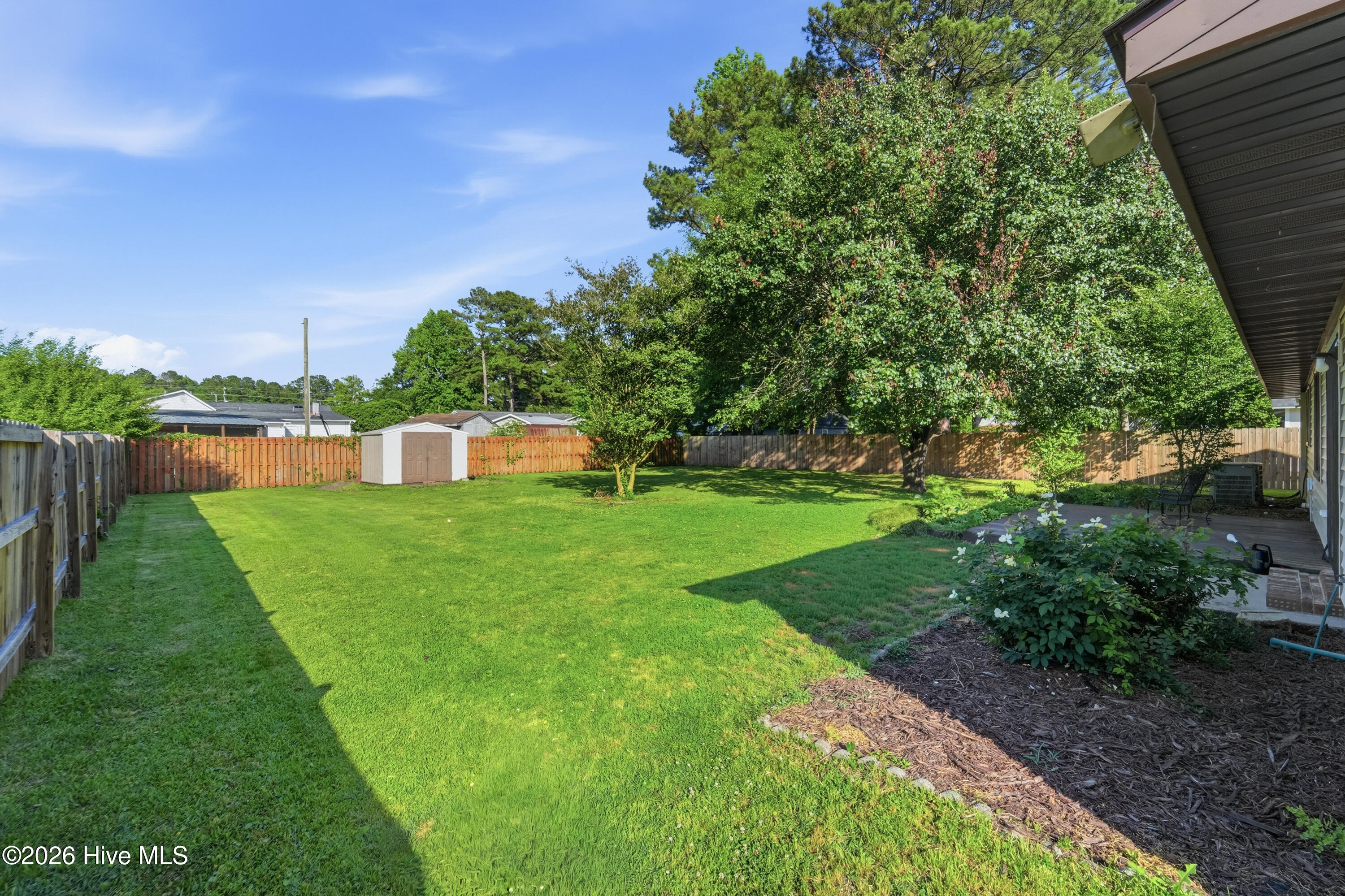 310 Luann Road Jacksonville, NC 28540 - Photo 18 of 25 Back Yard