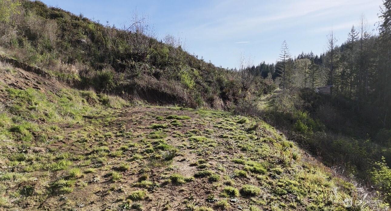 2916 Little Hanaford Road Centralia, WA 98531 - Photo 9 of 14