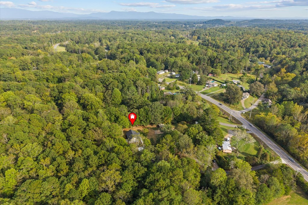 407 Dawnville Road Dalton, GA 30721 - Photo 48 of 52