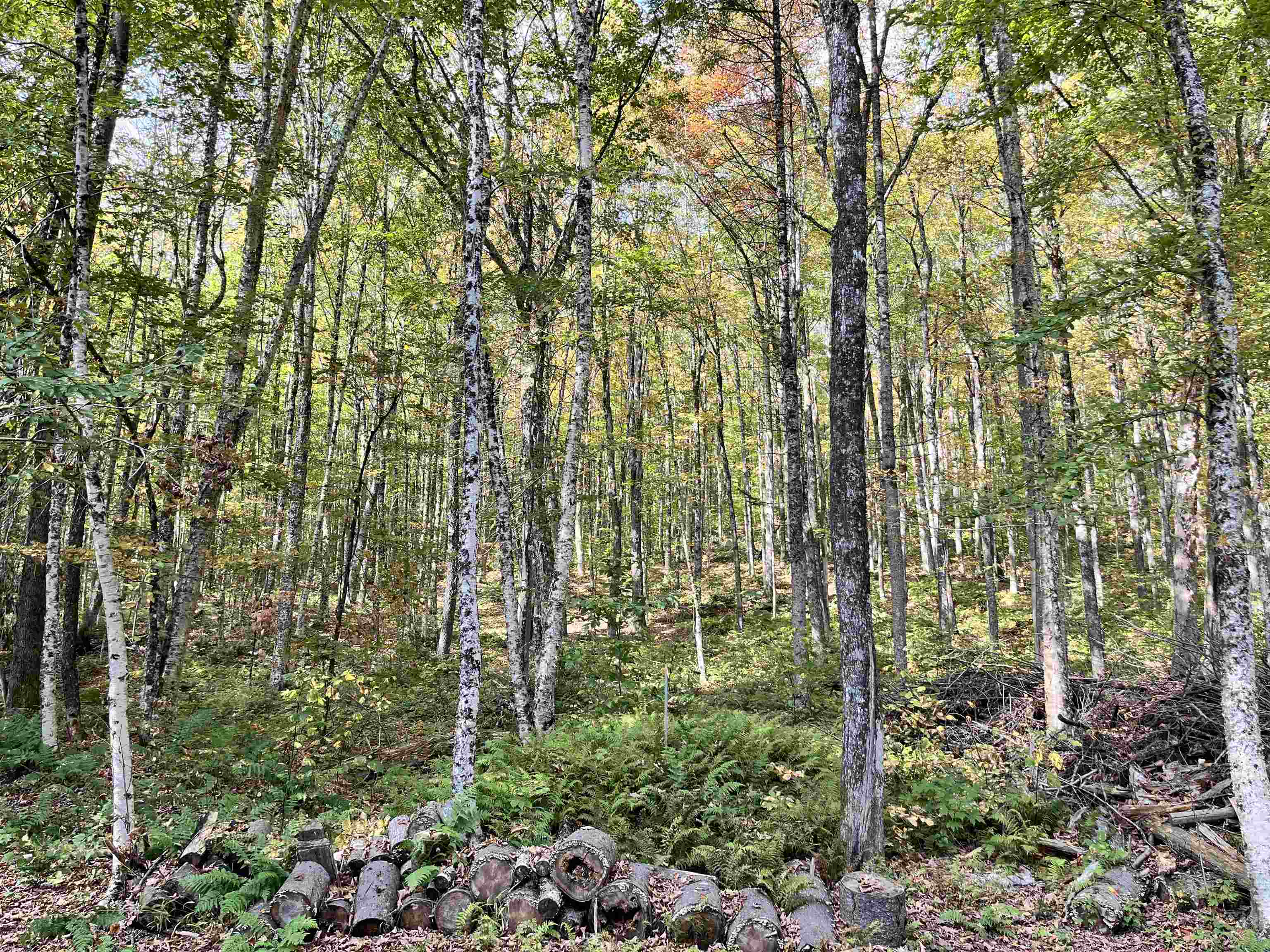 0 Cresent Beach Rd Extension, Unit 10 Morgan, VT 05853 - Photo 11 of 11