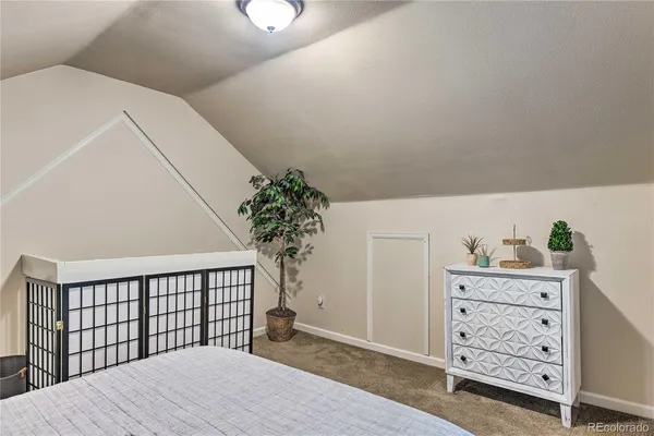 a view of a garden with plants and large trees