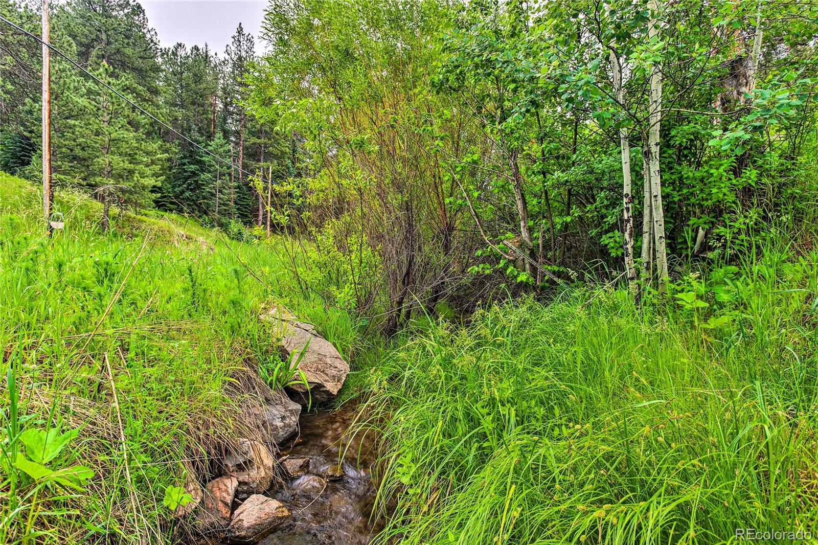 7559 South Turkey Creek Road Morrison, CO 80465 - Photo 33 of 40 a view of a garden with plants and large trees