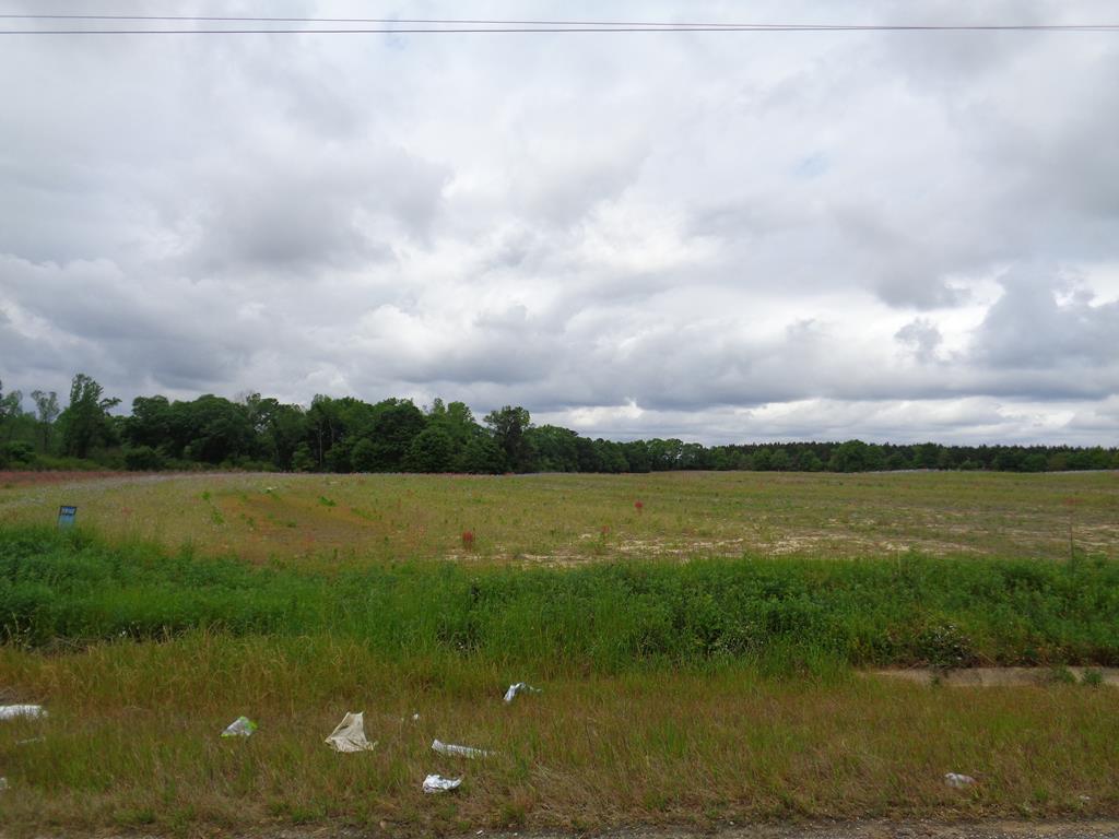 6700 Lot 8 Eddins Road Dothan, AL 36301 - Photo 1 of 1
