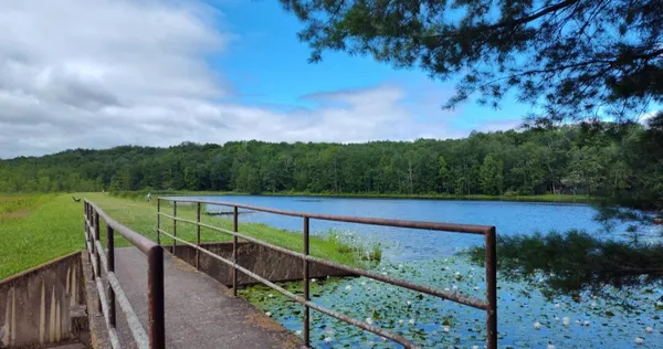 a view of a wooden bridge
