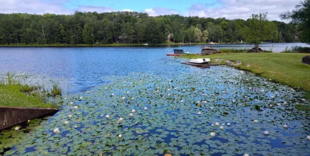 a view of a yard with a bench and trees