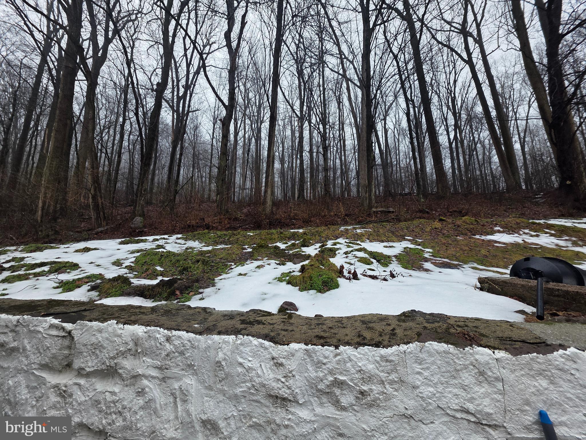 702 Wyomissing Road Mohnton, PA 19540 - Photo 18 of 47