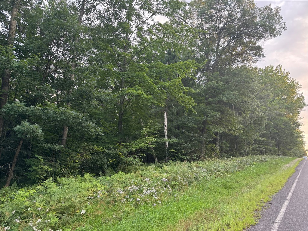 13-acres On 13-acres On County Road Spooner, WI 54801 - Photo 11 of 21