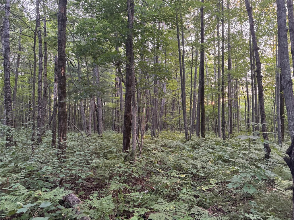 13-acres On 13-acres On County Road Spooner, WI 54801 - Photo 12 of 21