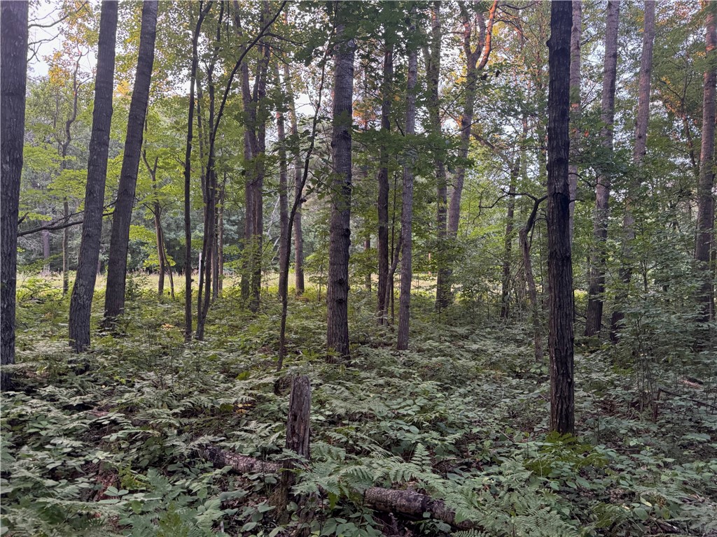 13-acres On 13-acres On County Road Spooner, WI 54801 - Photo 14 of 21