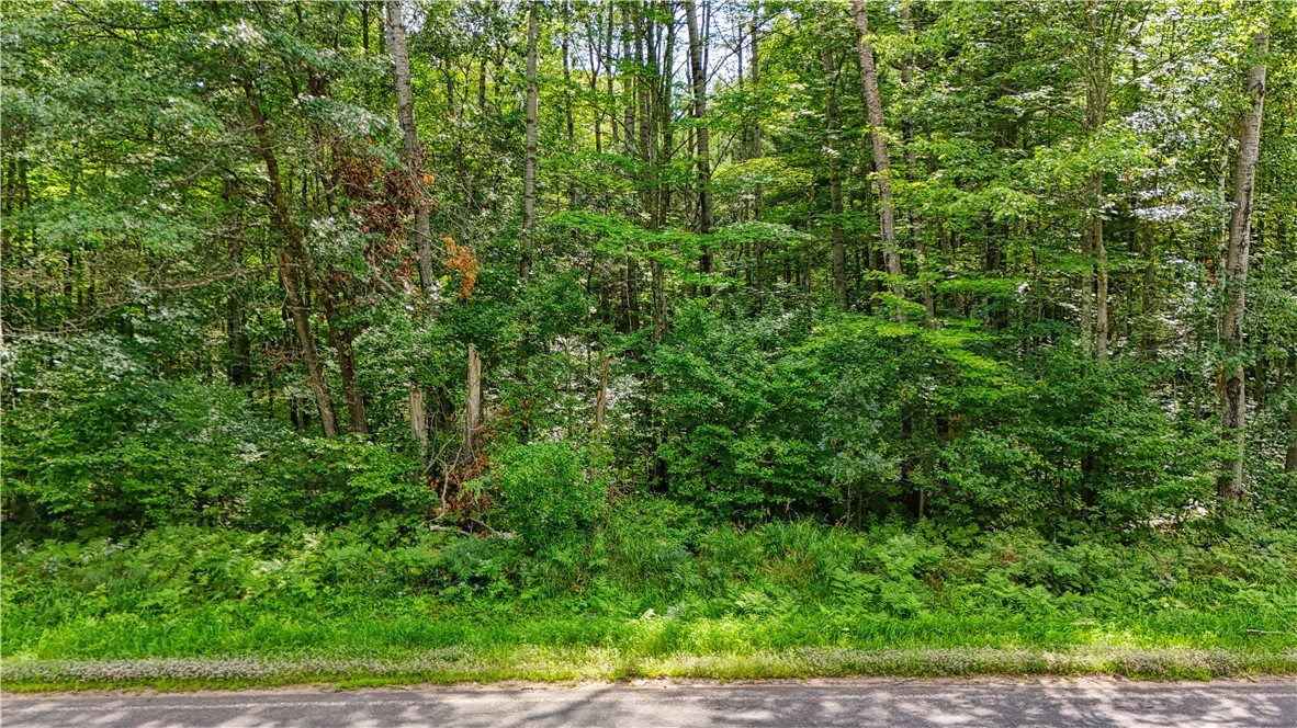 13-acres On 13-acres On County Road Spooner, WI 54801 - Photo 5 of 21