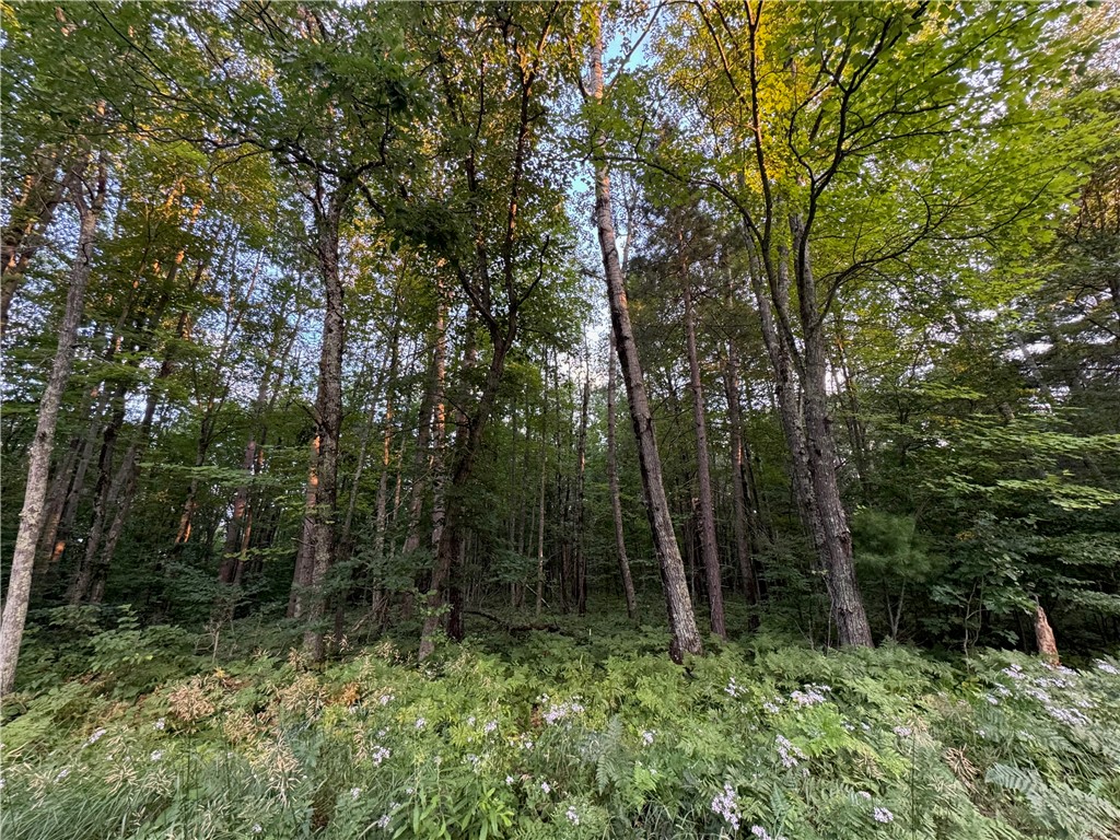 13-acres On 13-acres On County Road Spooner, WI 54801 - Photo 6 of 21