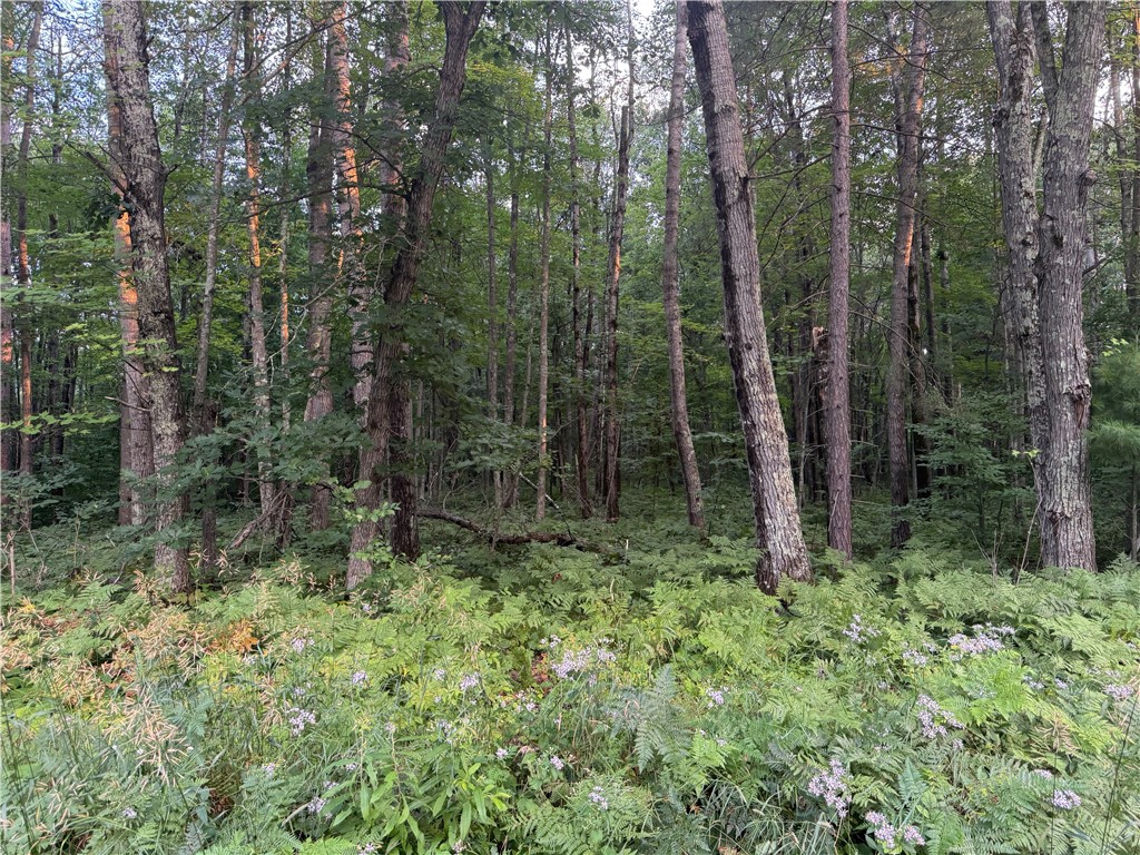 13-acres On 13-acres On County Road Spooner, WI 54801 - Photo 7 of 21