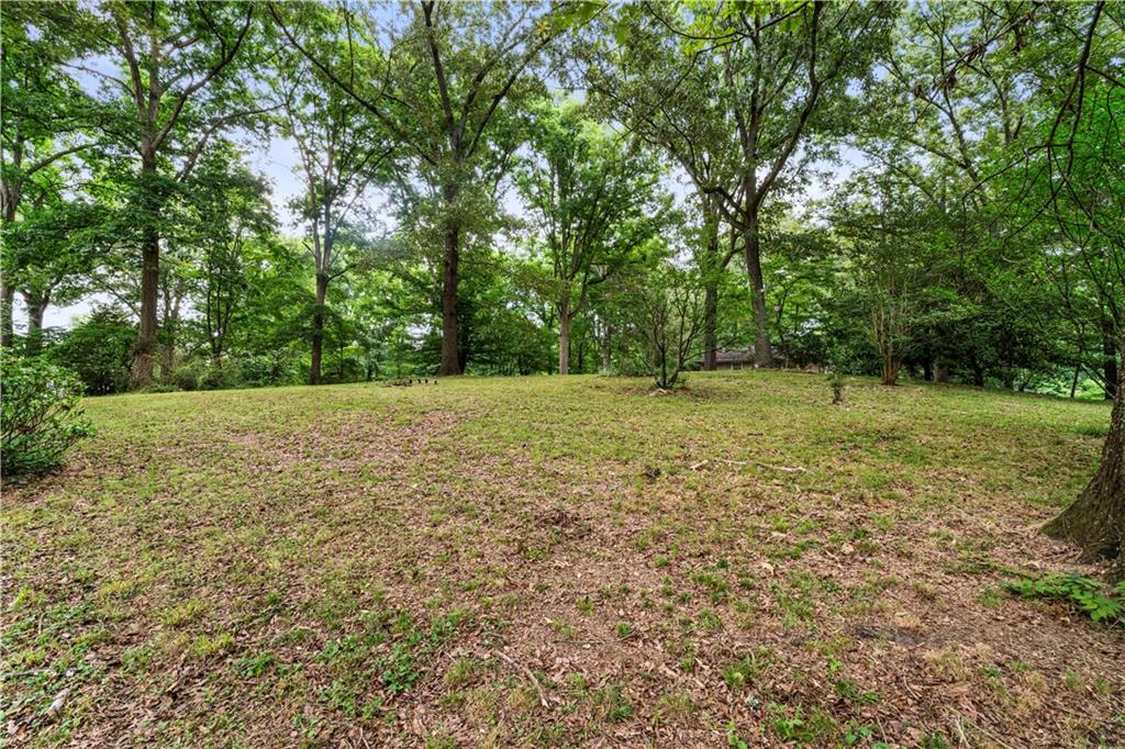 23 East Camelia Road Northeast Rome, GA 30161 - Photo 25 of 27 a big yard with lots of green space and deers