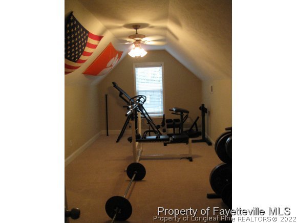 49 Germantown Road Cameron, NC 28326 - Photo 23 of 25 a view of a room with gym equipment
