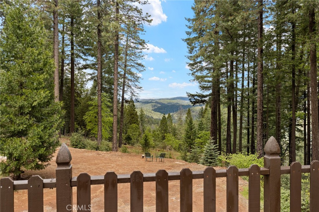 5555 Platt Mountain Road Forest Ranch, CA 95942 - Photo 42 of 55 a view of a yard with plants and trees