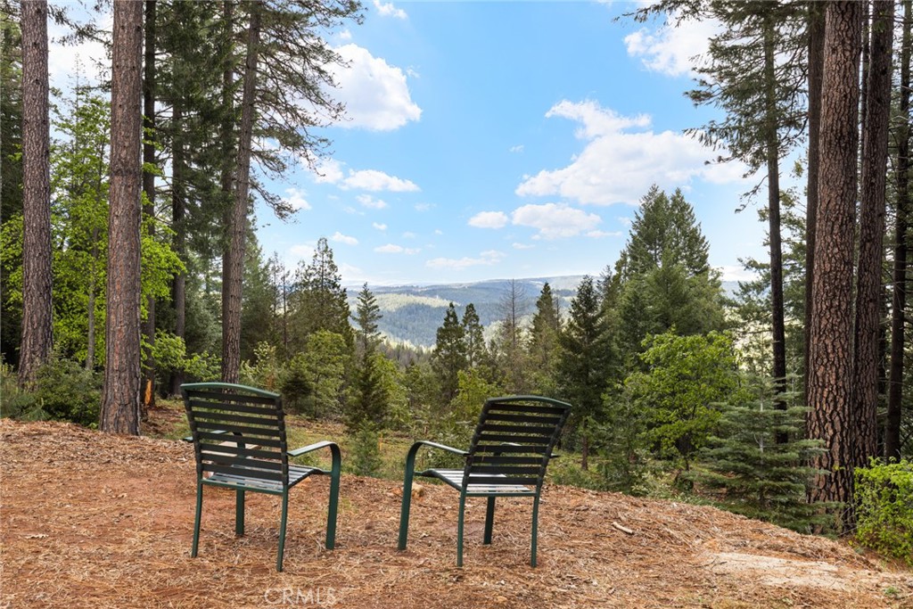 5555 Platt Mountain Road Forest Ranch, CA 95942 - Photo 45 of 55 a view of a bench in a backyard