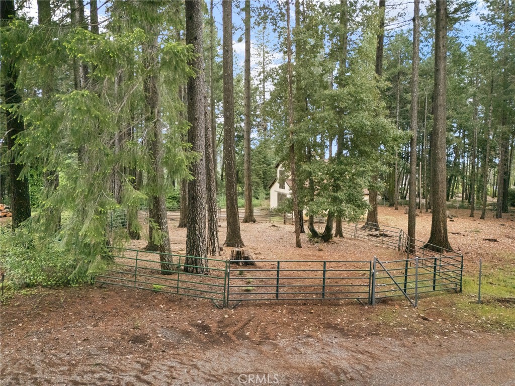 5555 Platt Mountain Road Forest Ranch, CA 95942 - Photo 51 of 55 a view of park