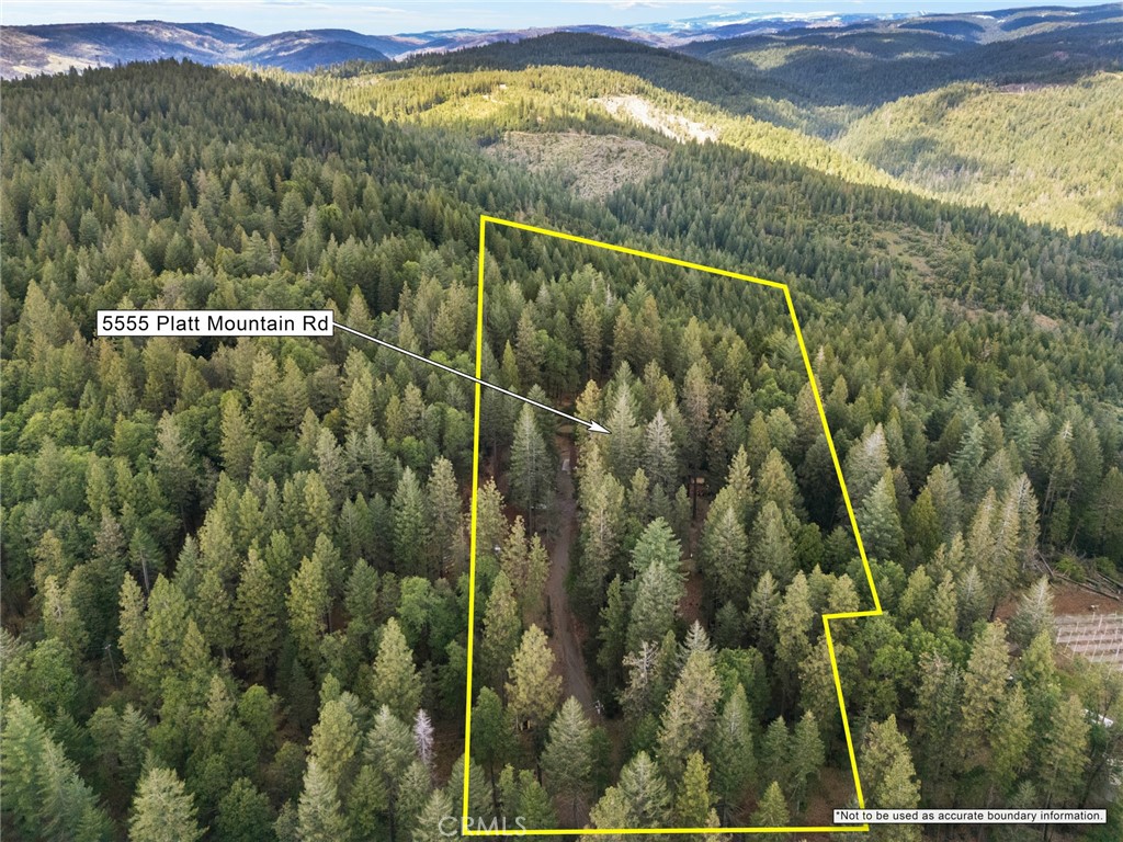 5555 Platt Mountain Road Forest Ranch, CA 95942 - Photo 53 of 55 Beautiful, spacious 5 acres
