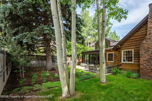 a view of a house with backyard and a tree
