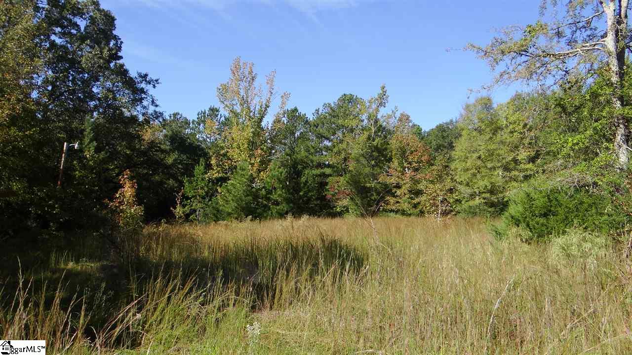78 Robinette Road Waterloo, SC 29384 - Photo 4 of 10