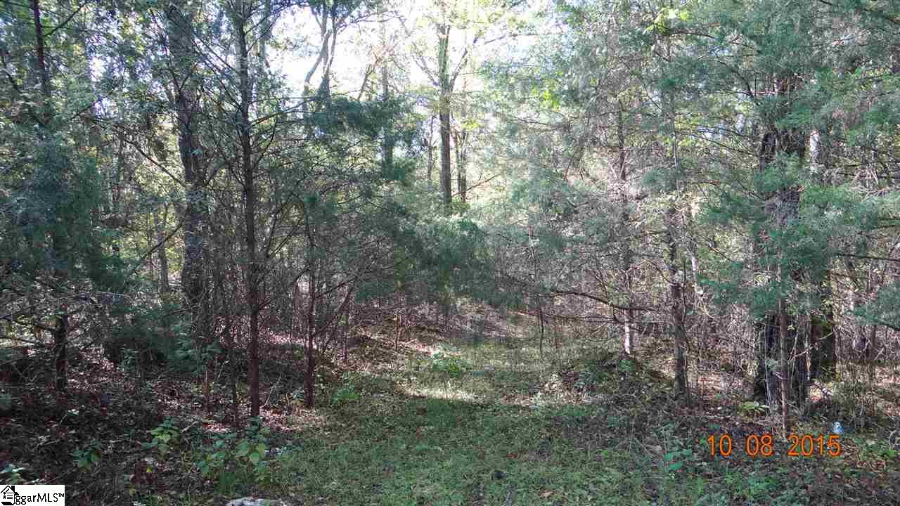 78 Robinette Road Waterloo, SC 29384 - Photo 6 of 10