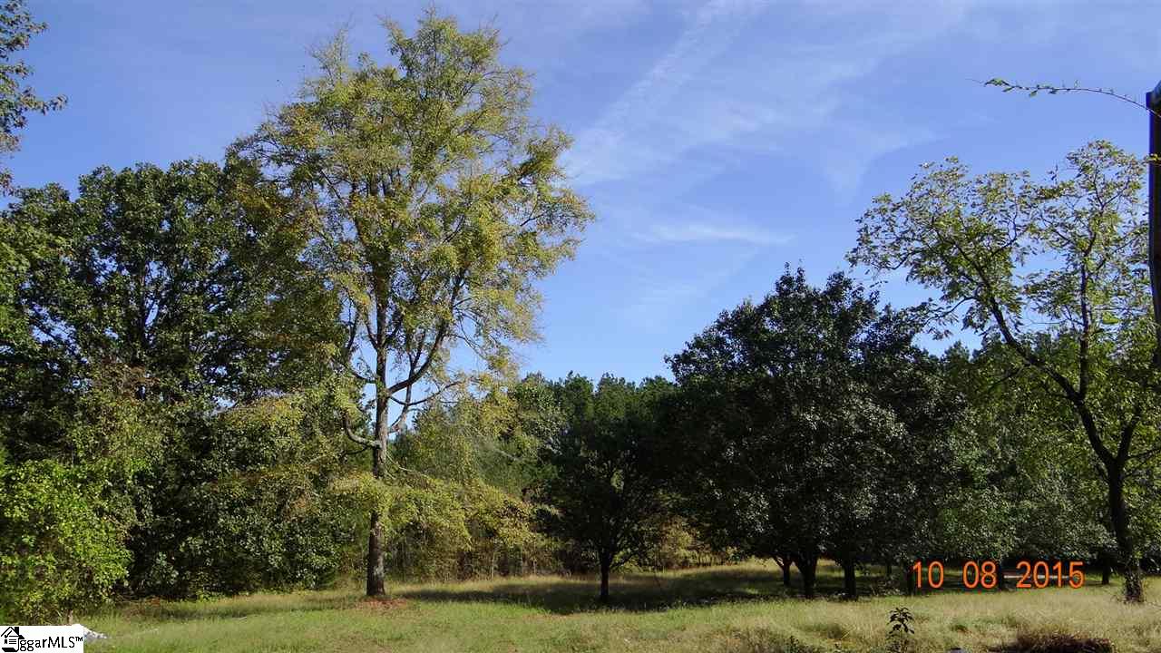 78 Robinette Road Waterloo, SC 29384 - Photo 7 of 10