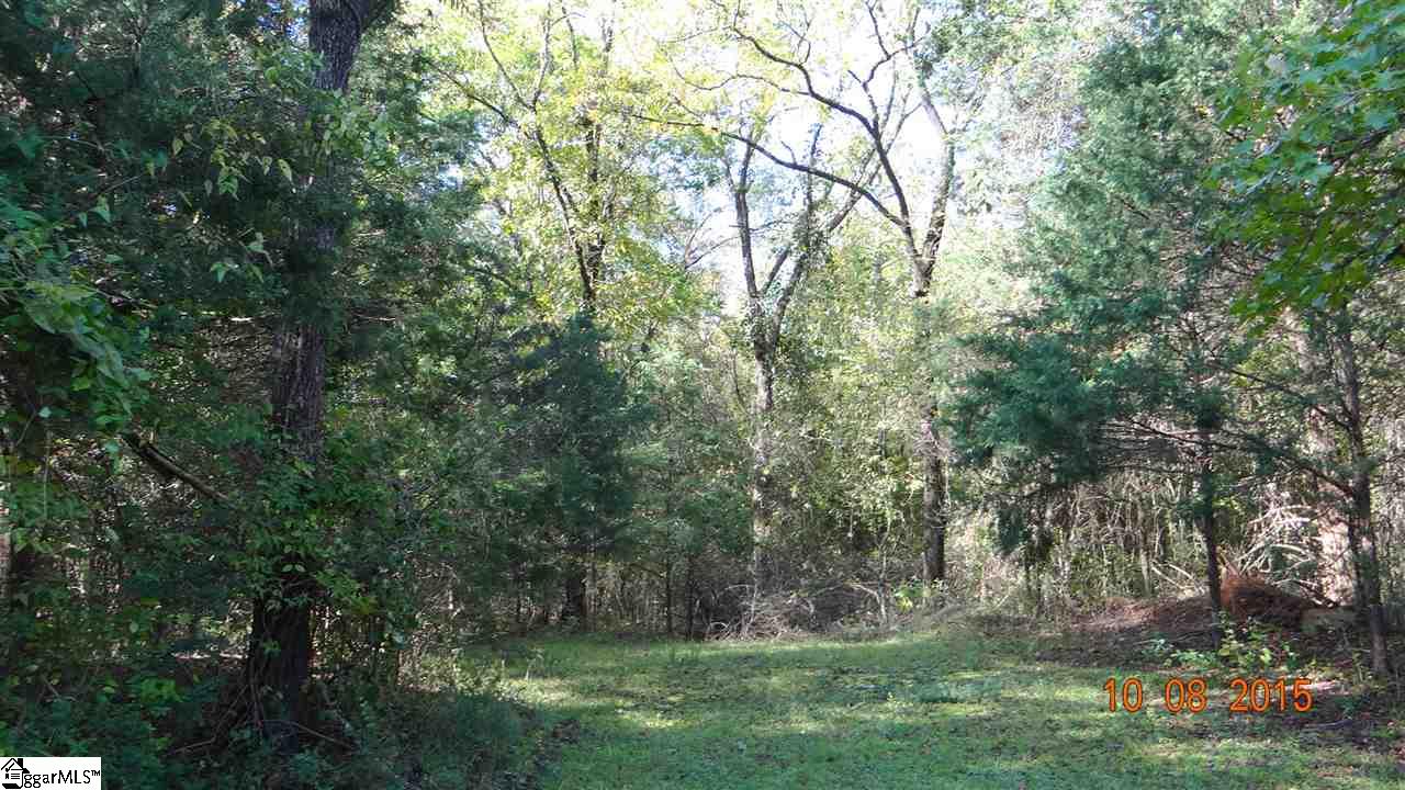 78 Robinette Road Waterloo, SC 29384 - Photo 8 of 10