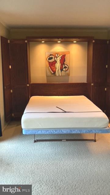 103 Cross Keys Road, Unit R103A Baltimore, MD 21210 - Photo 6 of 13 Murphy bed open