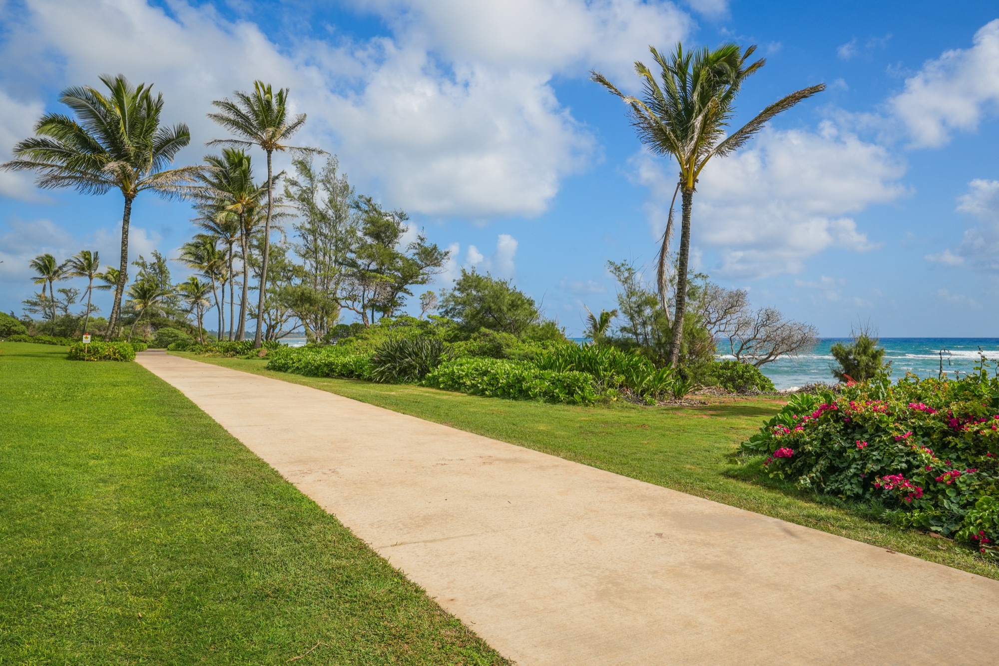 4460 Nehe Road, Unit 116 Lihue, HI 96766 - Photo 24 of 28 a view of a yard with a palm trees