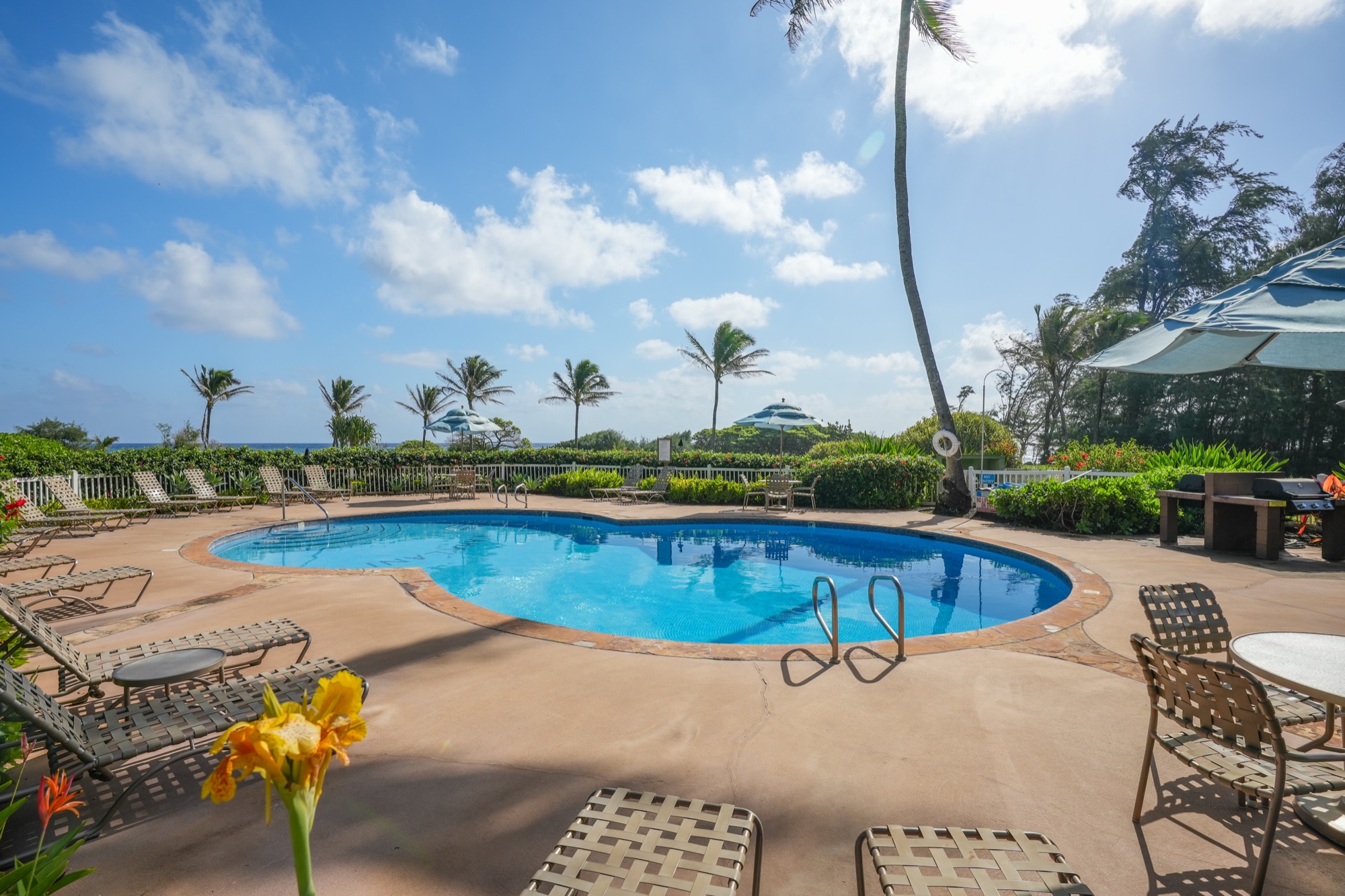 4460 Nehe Road, Unit 116 Lihue, HI 96766 - Photo 26 of 28 a view of a swimming pool with lawn chairs