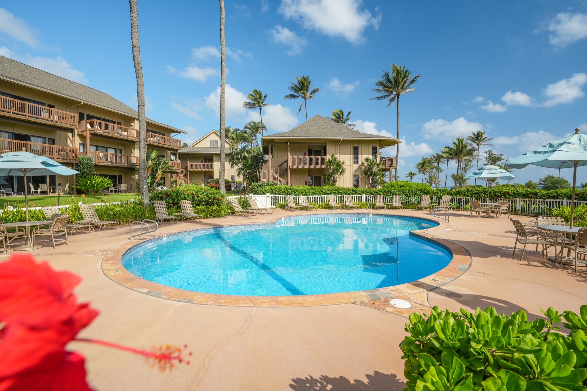 4460 Nehe Road, Unit 116 Lihue, HI 96766 - Photo 27 of 28 a view of a swimming pool with a patio