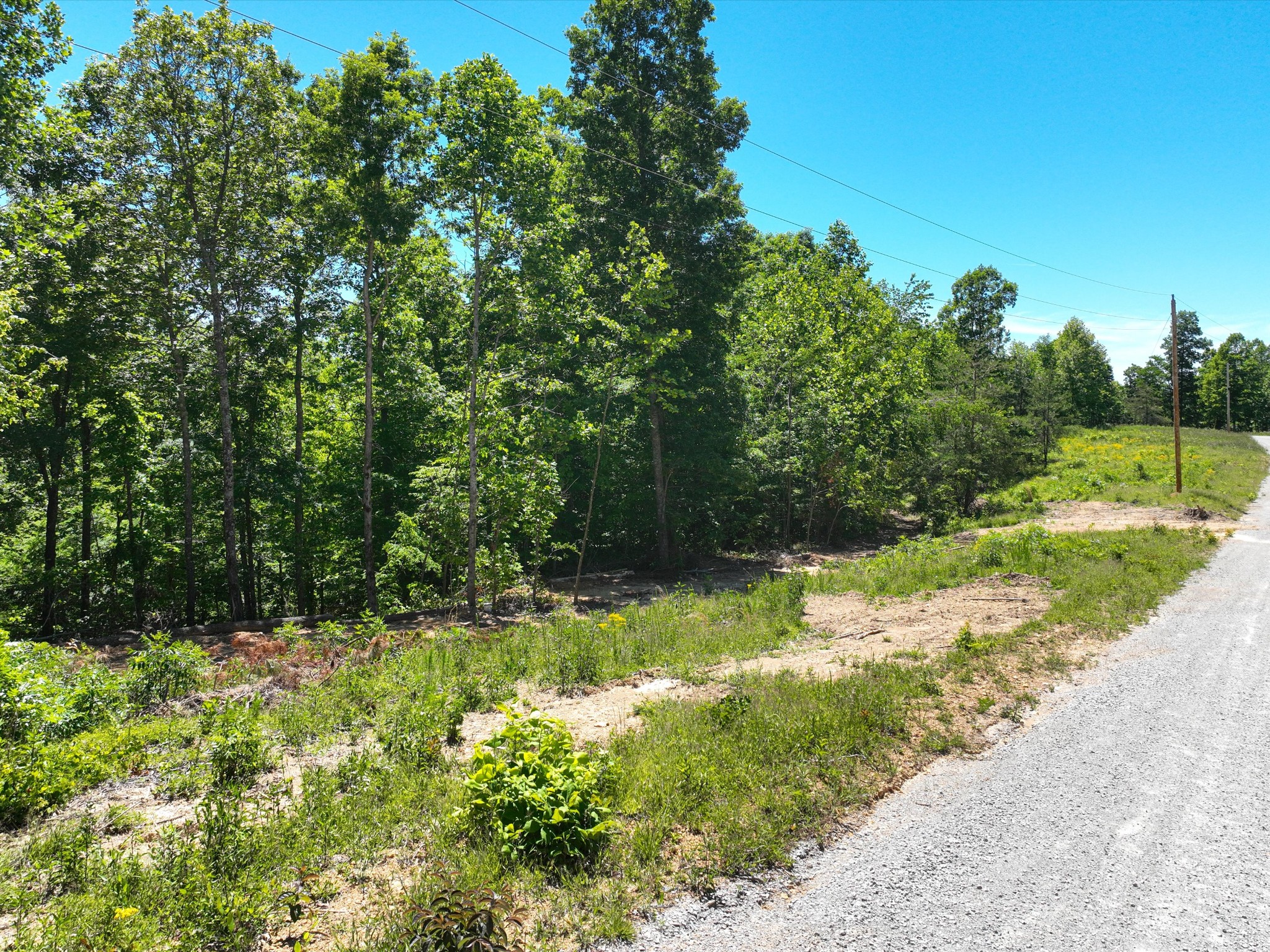 321 Ridgetop Road Hohenwald, TN 38462 - Photo 8 of 11