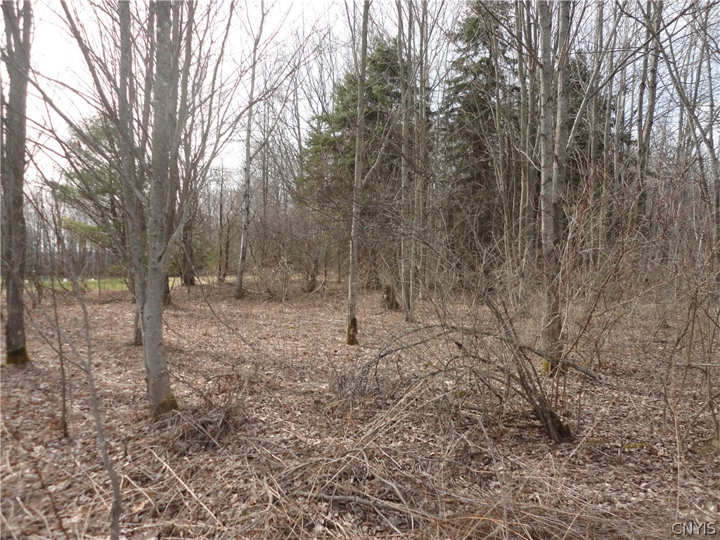 5491 Carr Road Willet, NY 13863 - Photo 1 of 1 Front of lot