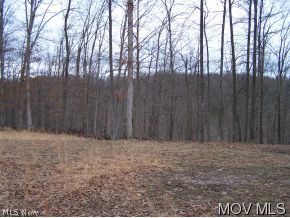 0 Dicks Run Reedy, WV 25270 - Photo 2 of 7 Excellent building sites