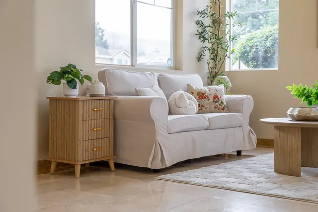 a living room with furniture and a potted plant