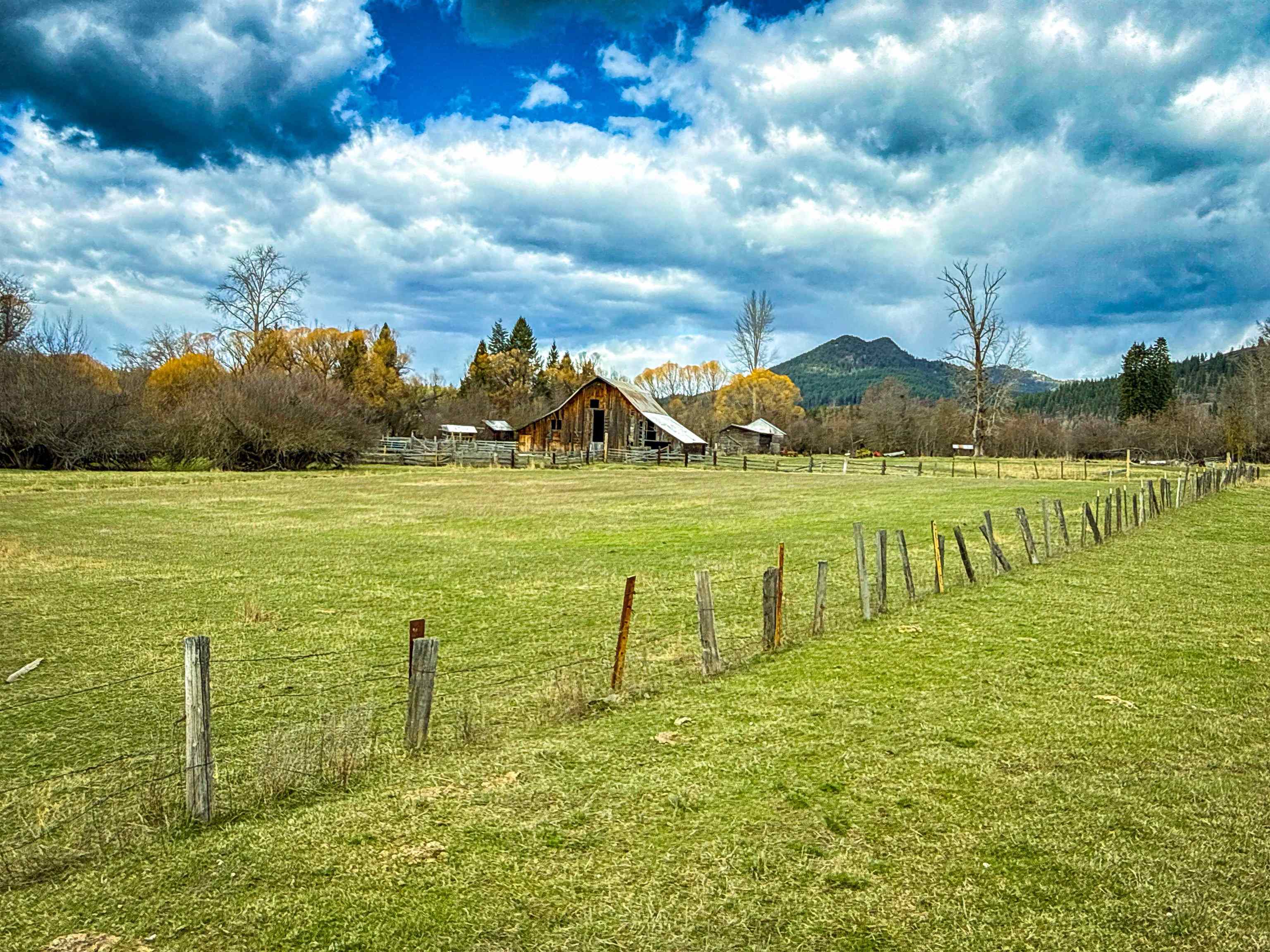 901 Skookum Creek Road Usk, WA 99180 - Photo 18 of 50