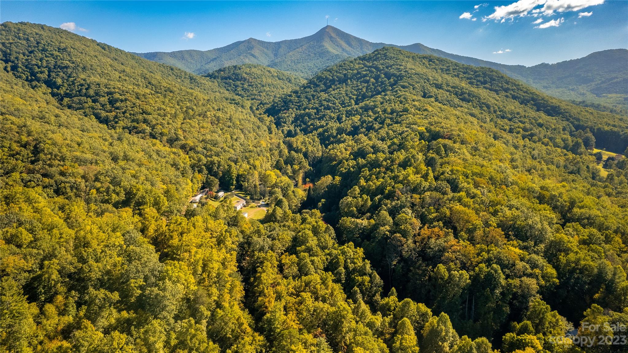 0 Saw Branch Road Candler, NC 28715 - Photo 11 of 18 Gallery Image 11