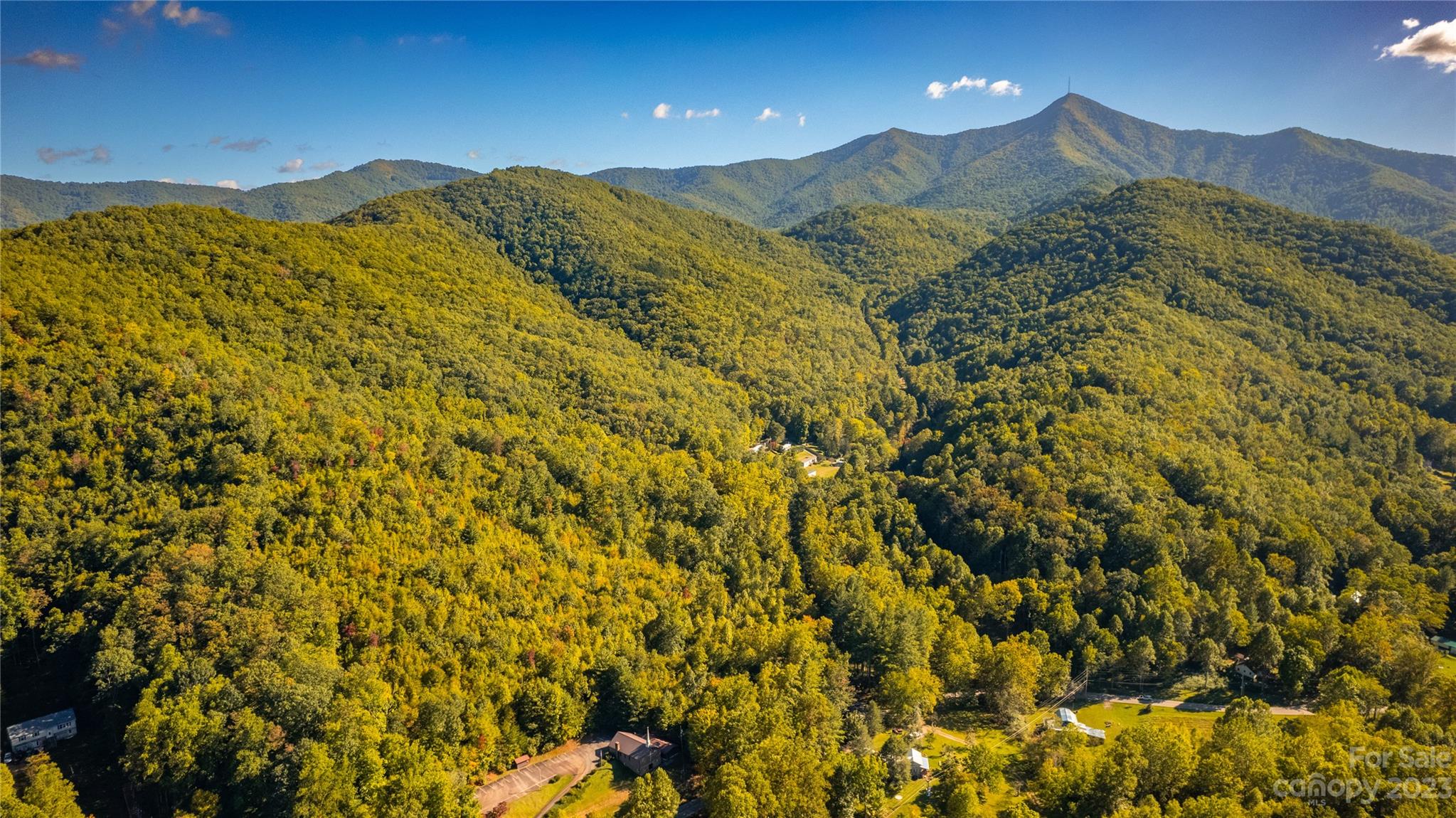0 Saw Branch Road Candler, NC 28715 - Photo 12 of 18 Gallery Image 12